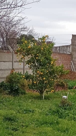 VENDO CASA — foto 6