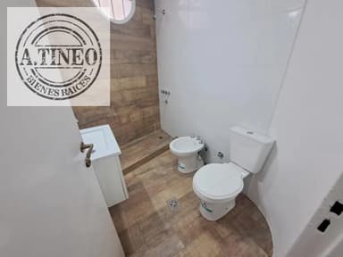 Miniatura 10