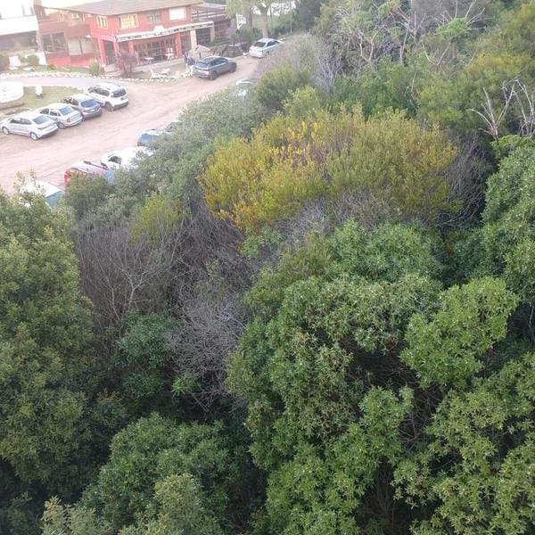 Terreno Multifamiliar En Pinamar — foto 10