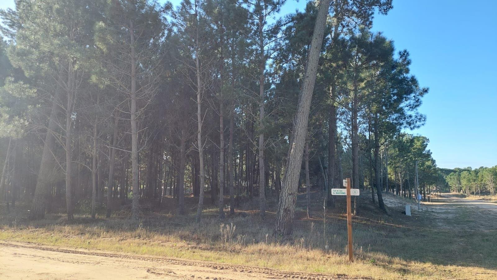 Pioneros Iii Pinamar (lote21). — foto 3
