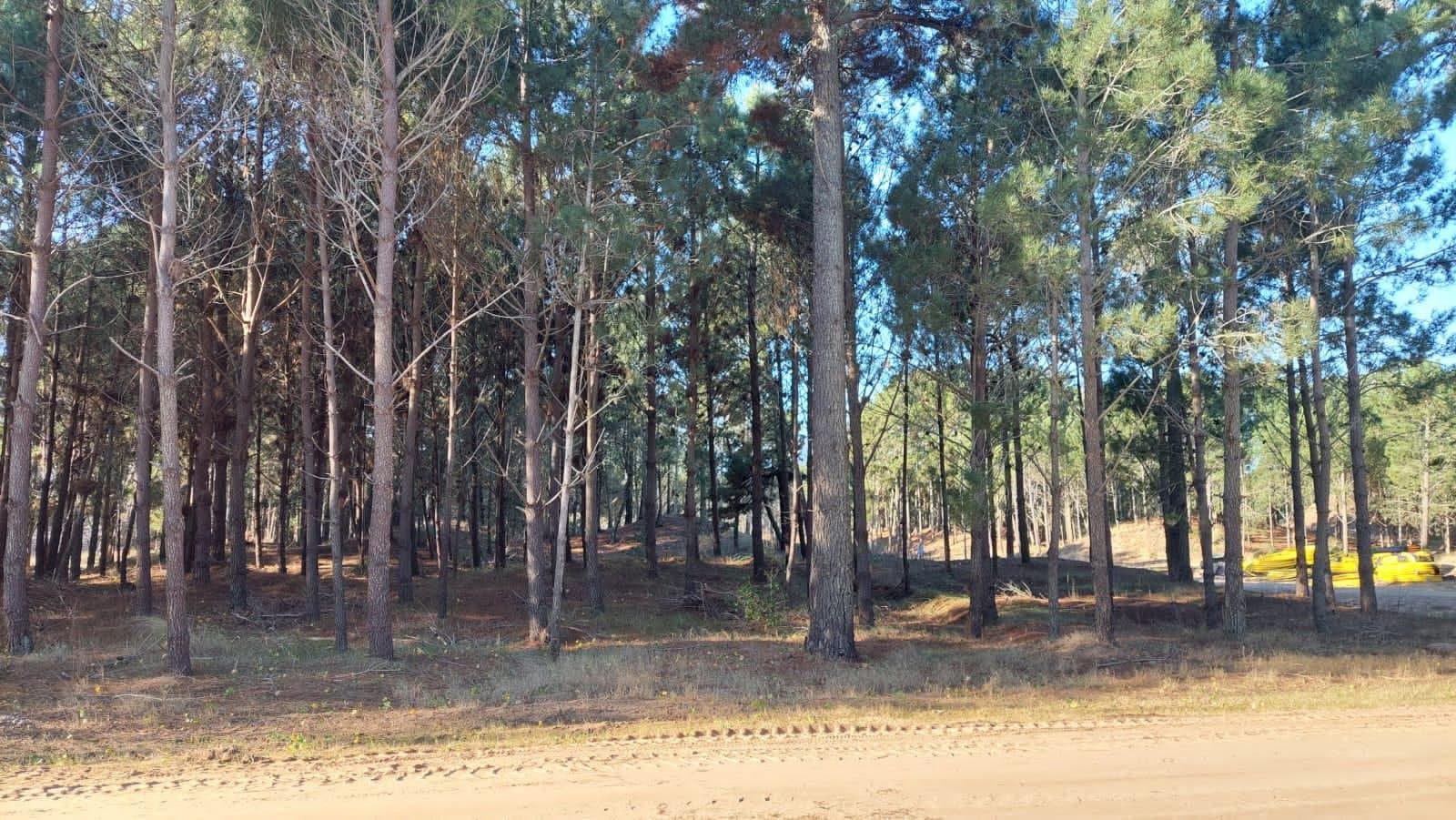 Pioneros Iii Pinamar (lote21). — foto 1