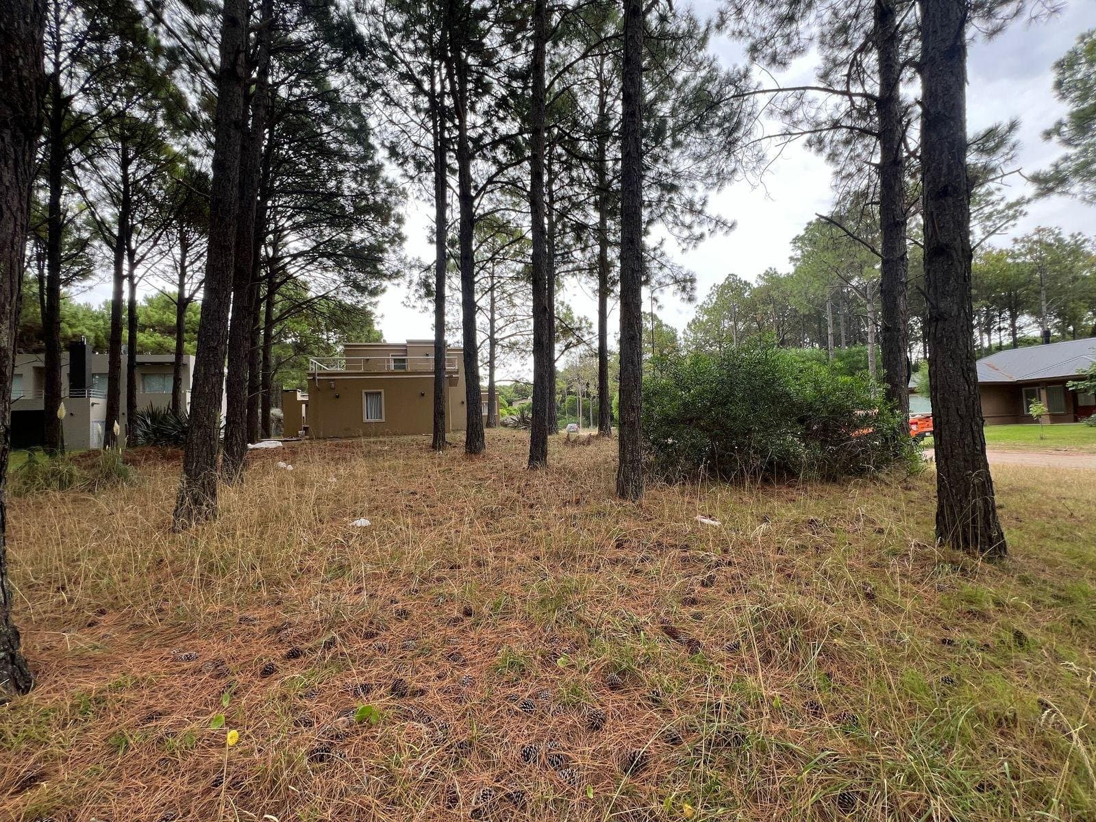 Lote Pinamar Norte - Calle Poseidon — foto 4