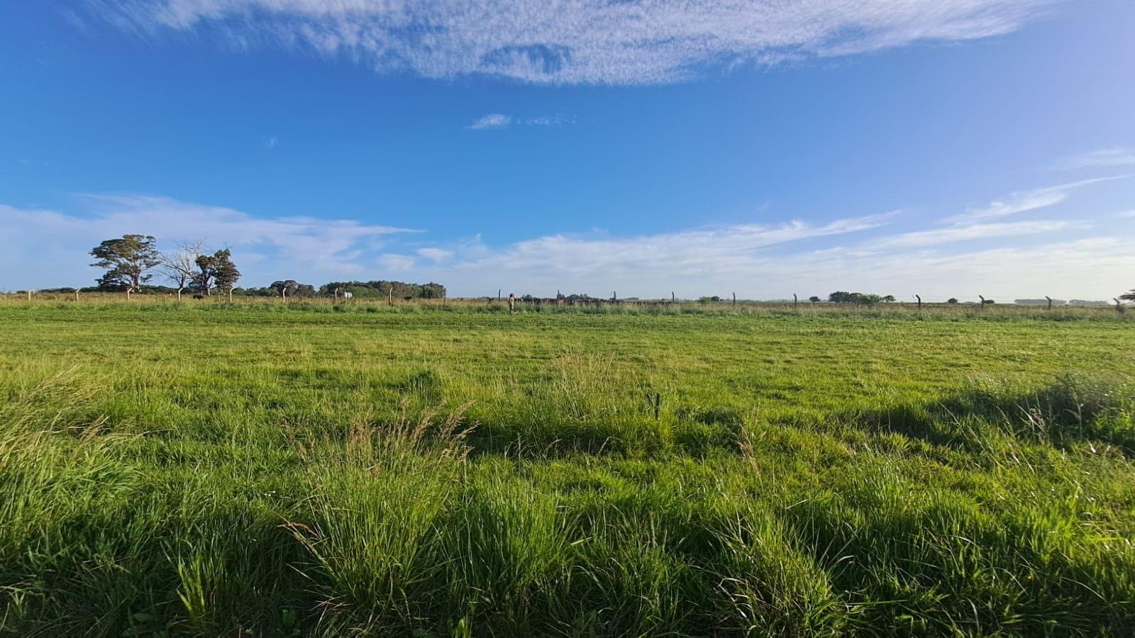 La Victoria Country Lote 174 — foto 14
