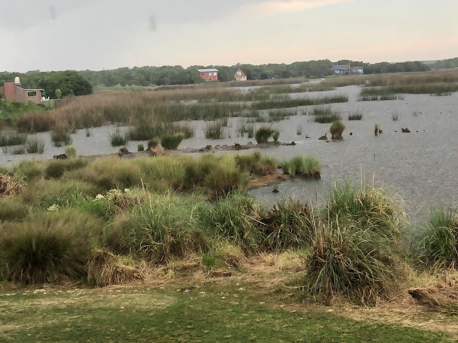 Chacra En Venta Laguna El Rosario — foto 4