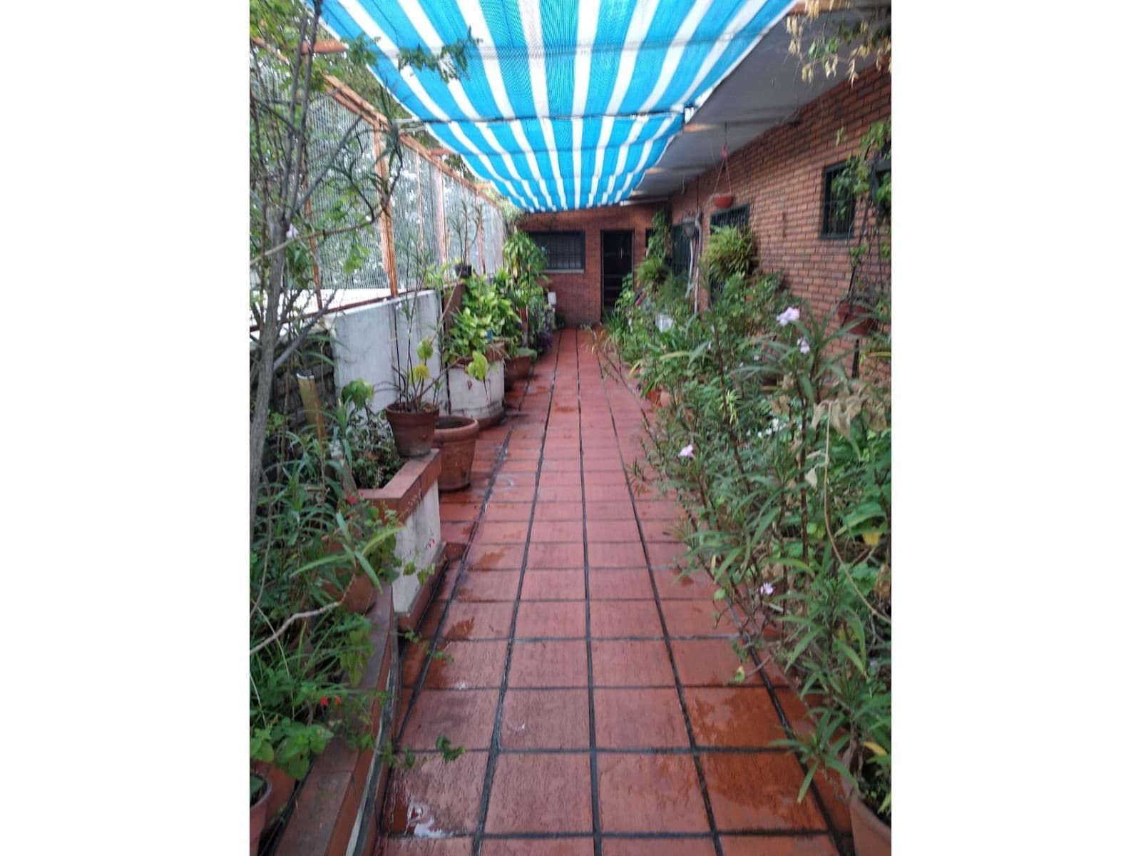 TERRENO SOBRE BV. AVELLANEDA Y ZEBALLOS 300 M2 — foto 9