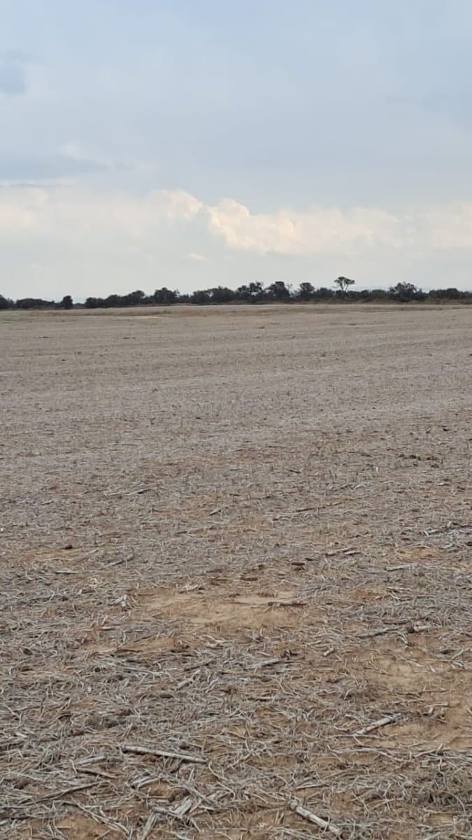 VENTA CAMPO EN LOZADA- CORDOBA — foto 1
