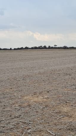 VENTA CAMPO EN LOZADA- CORDOBA