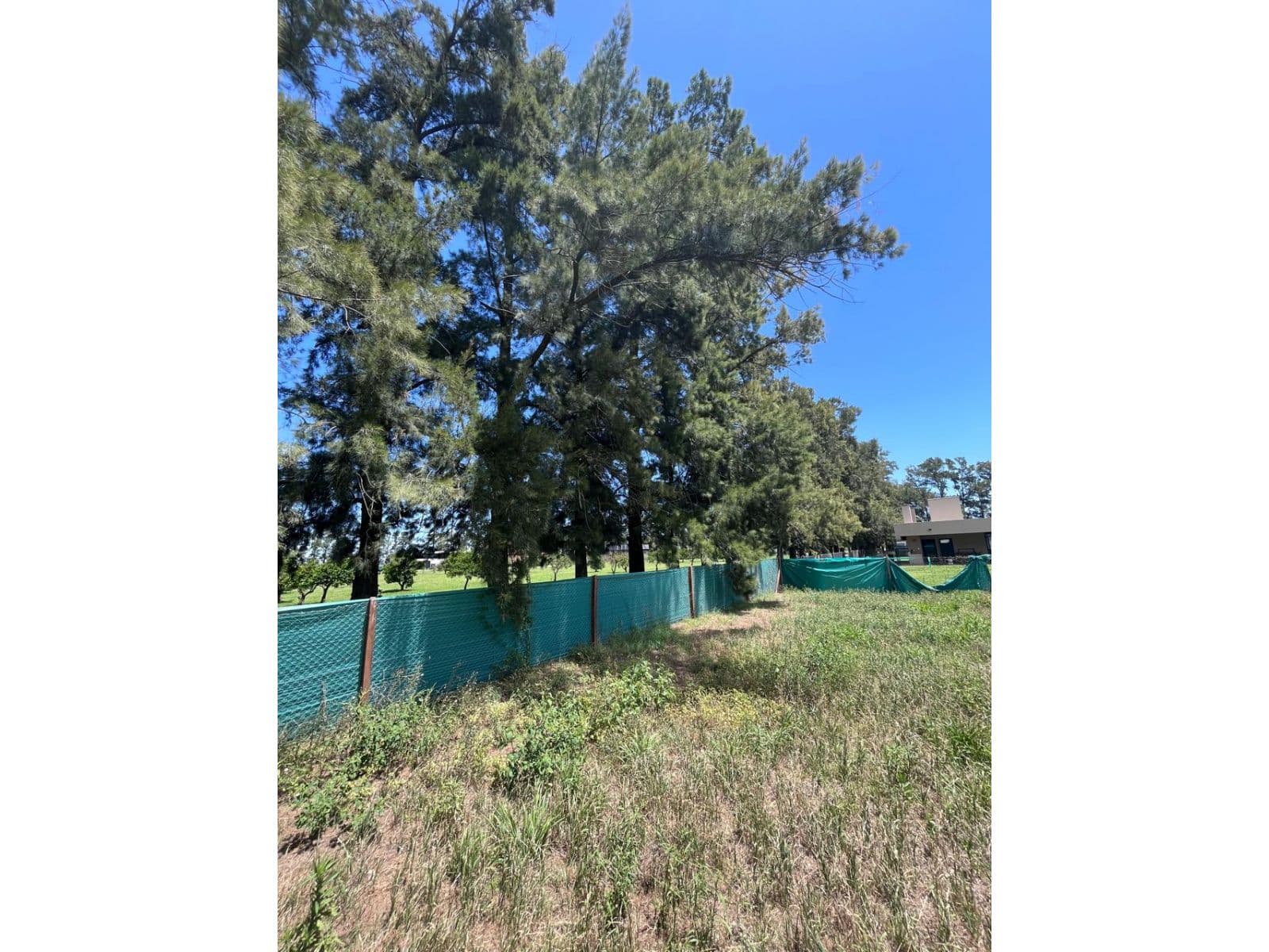 AZAHARES DEL PARANA CASA A TERMINAR — foto 12