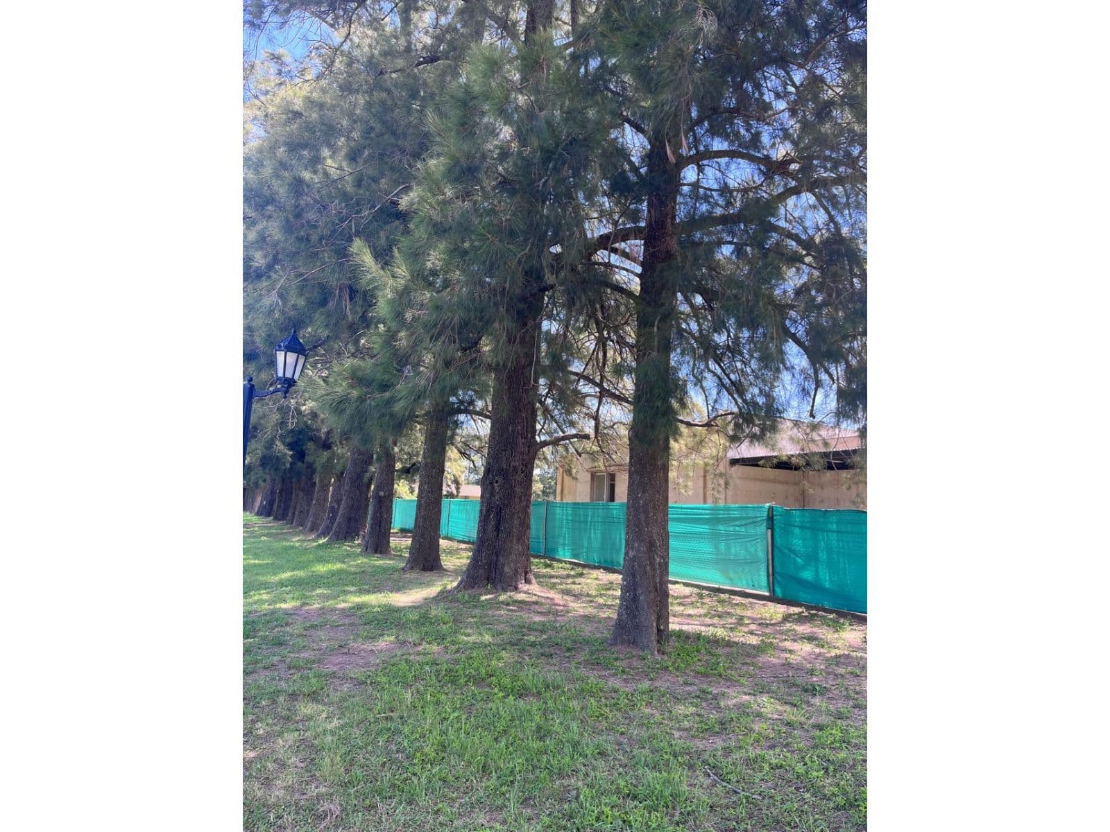 AZAHARES DEL PARANA CASA A TERMINAR — foto 14