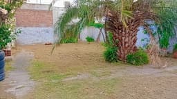 Casa en alquiler planta alta