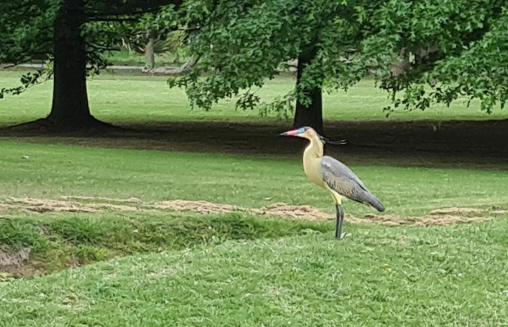 VENTA DE TERRENO EN HARAS DEL SUR — foto 6