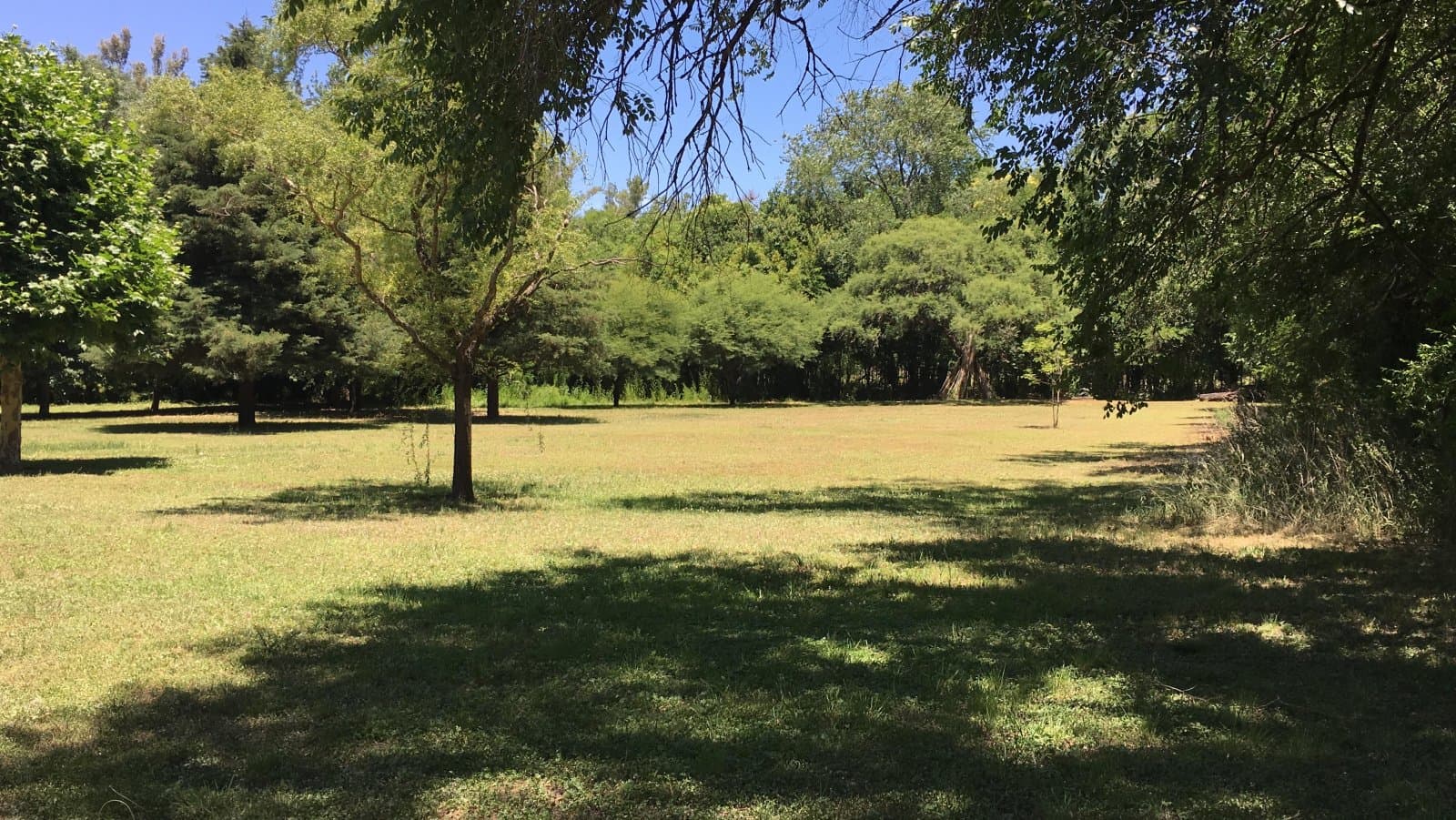 CASA QUINTA EN ANISACATE CÓRDOBA VENTA — foto 5