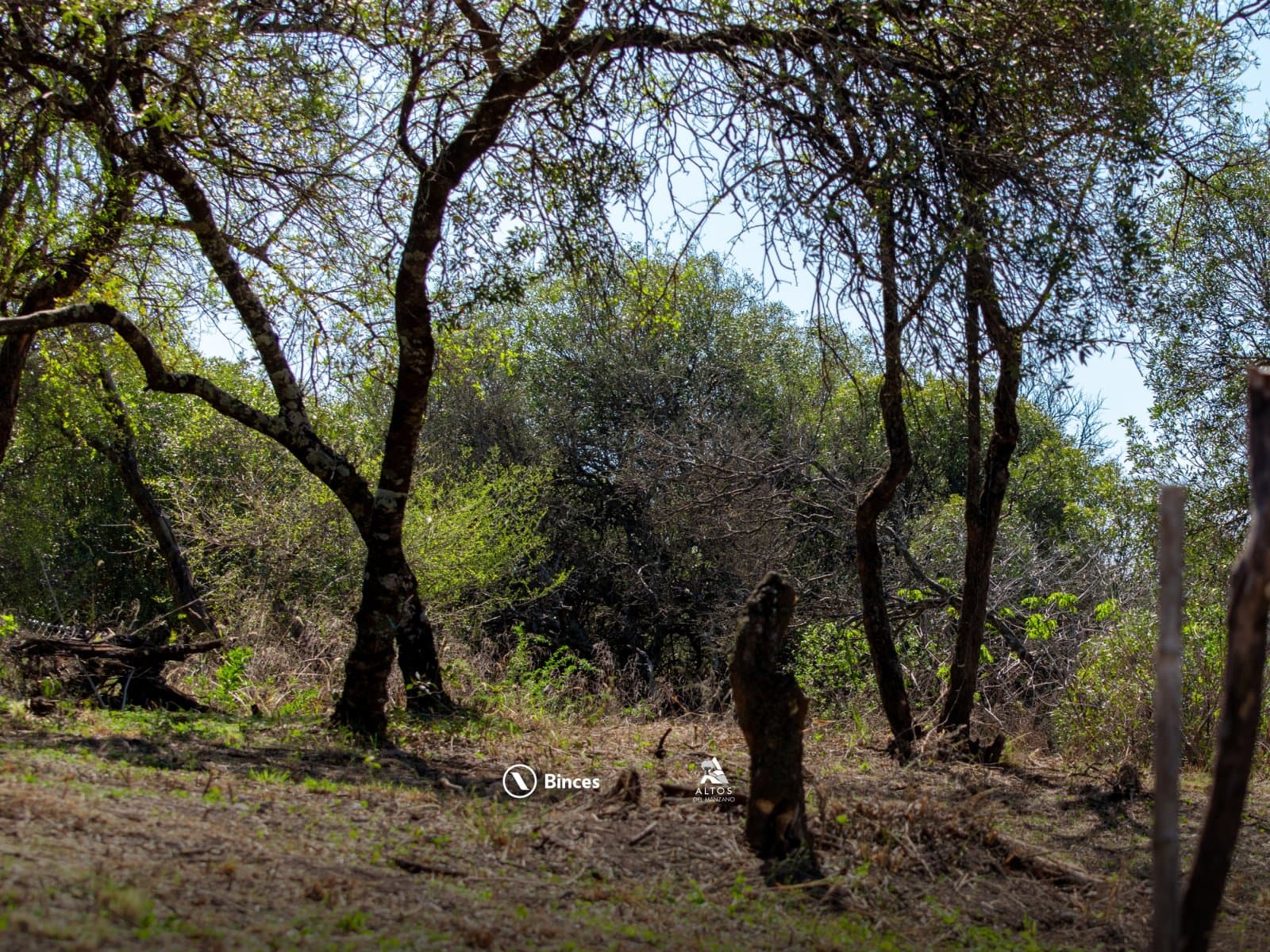 Terrenos en Altos del Manzano — foto 6