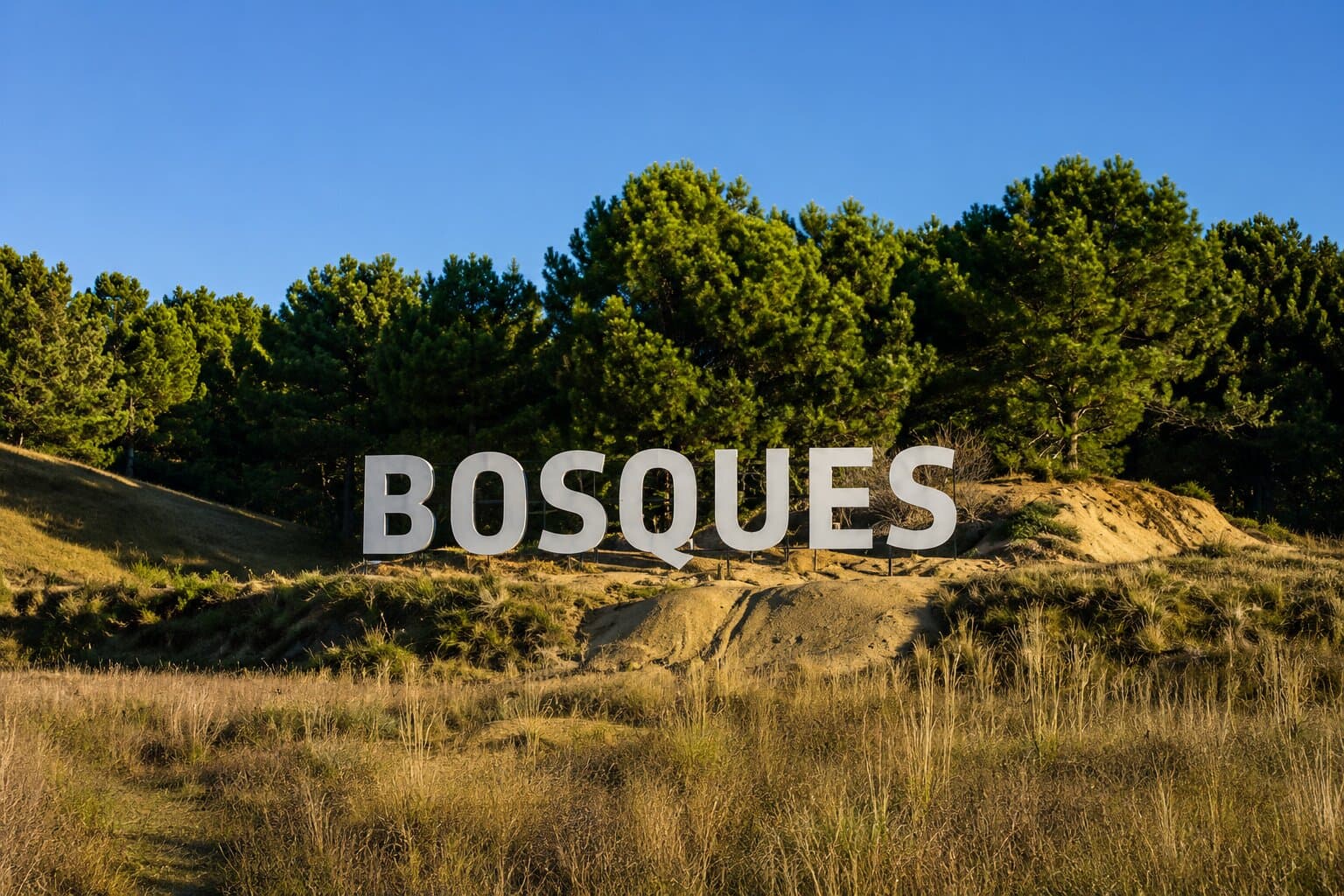 LOTE BARRIO BOSQUES PINAMAR — foto 1