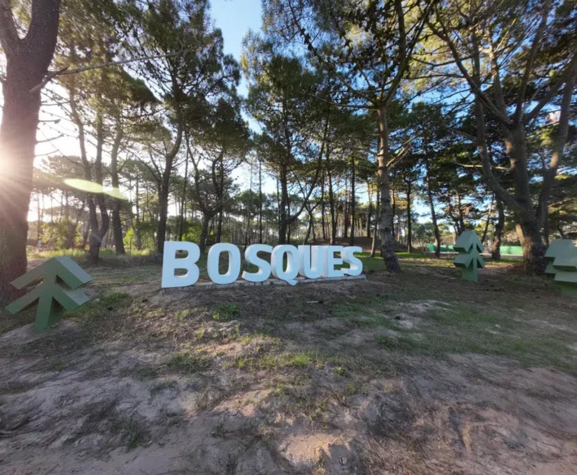 LOTE BARRIO BOSQUES PINAMAR — foto 3