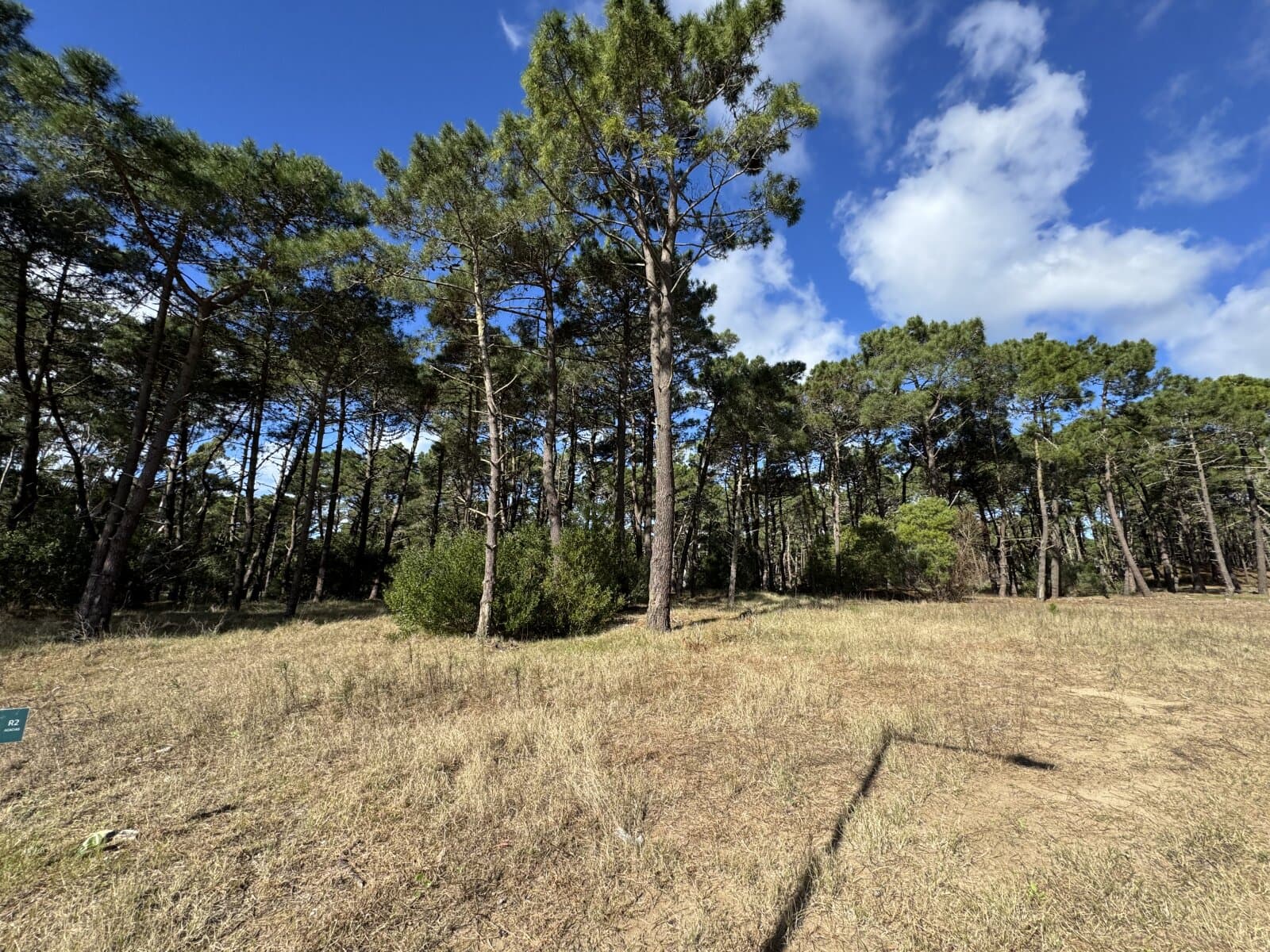 LOTE BARRIO BOSQUES PINAMAR — foto 5