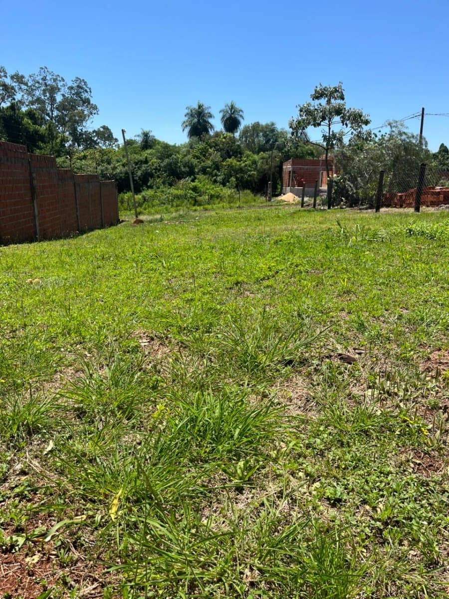 Venta Hermoso Terreno Posadas — foto 4
