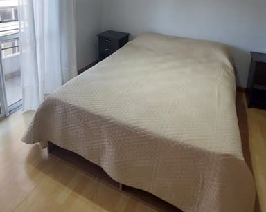 Miniatura 10