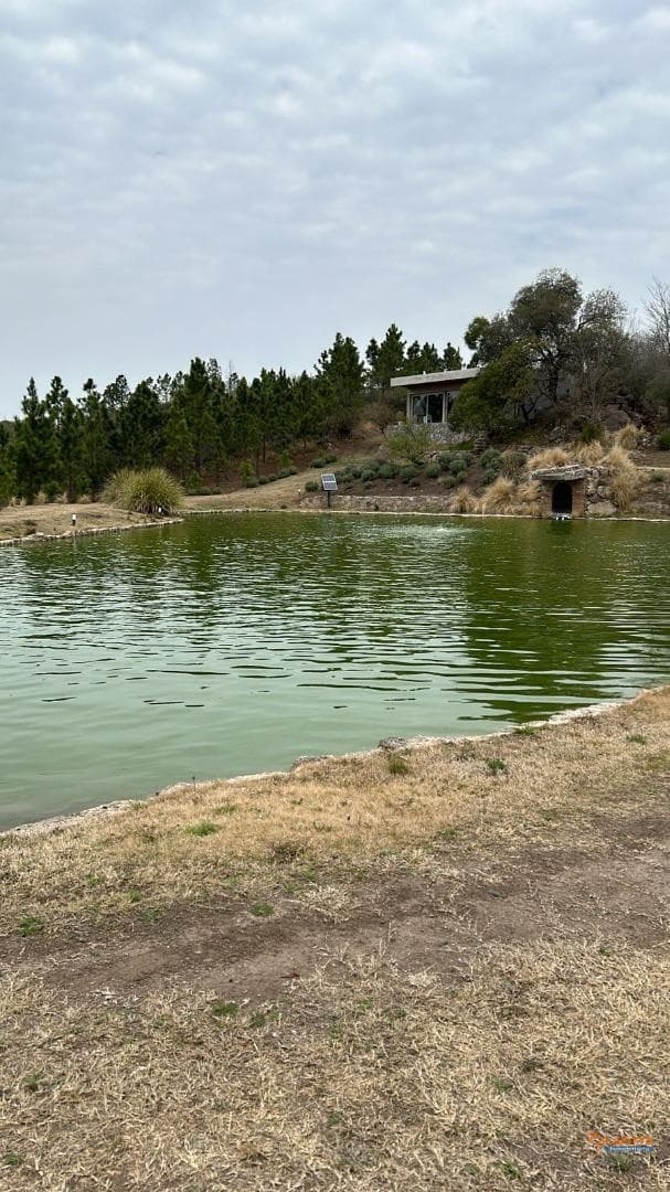 Terreno en VENTA con casa y laguna — foto 6