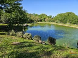 Terreno en VENTA con casa y laguna