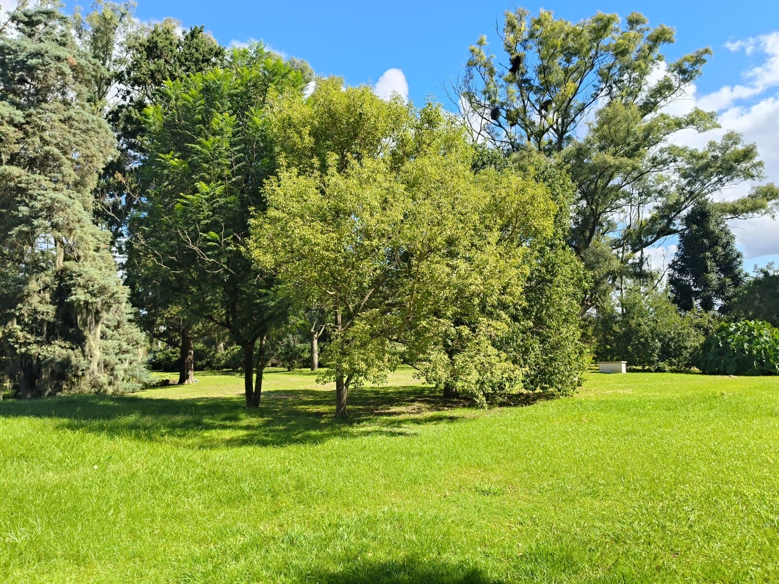 Terrenos sobre costa río Carcarañá — foto 5
