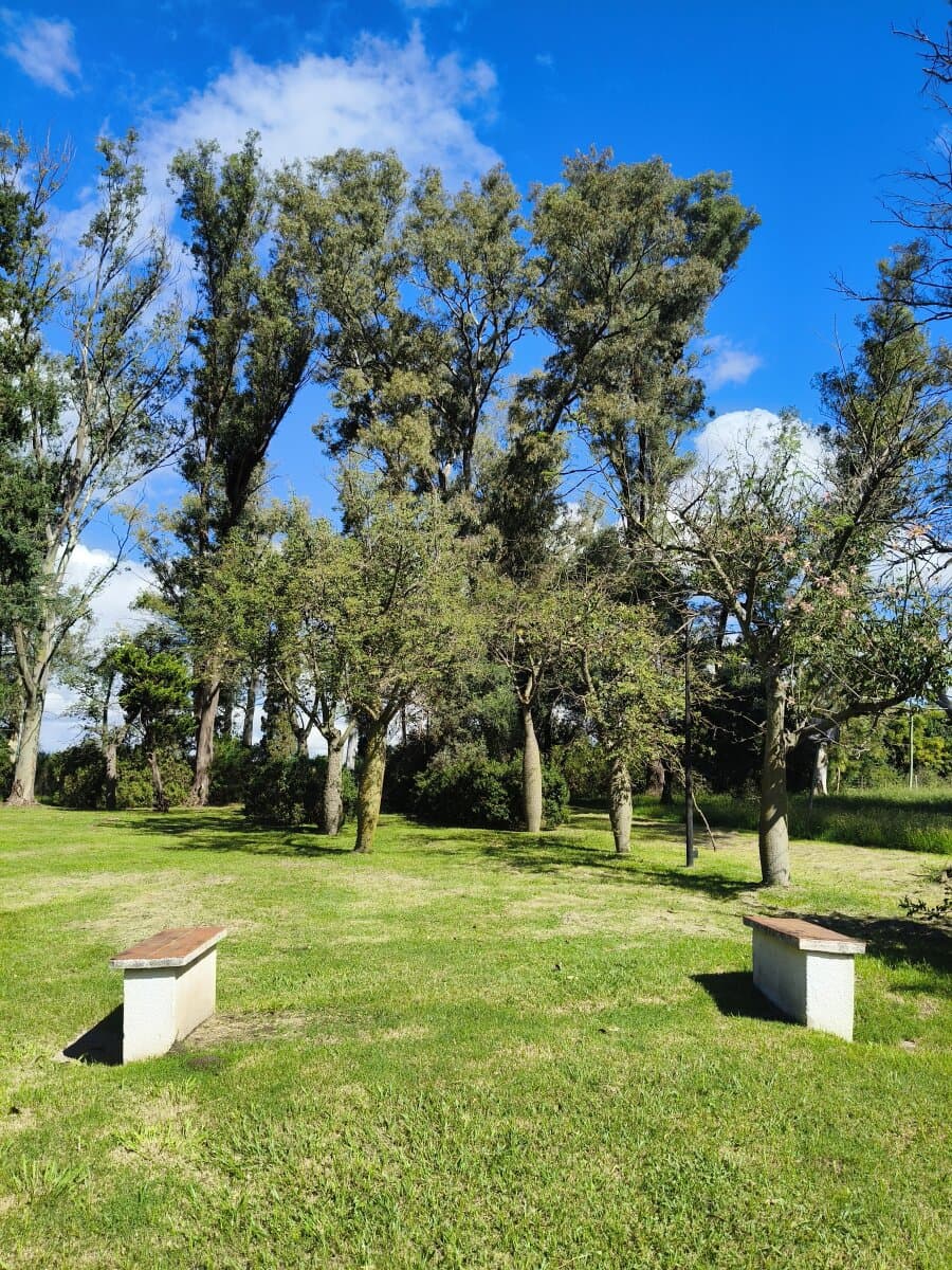 Terrenos sobre costa río Carcarañá — foto 7