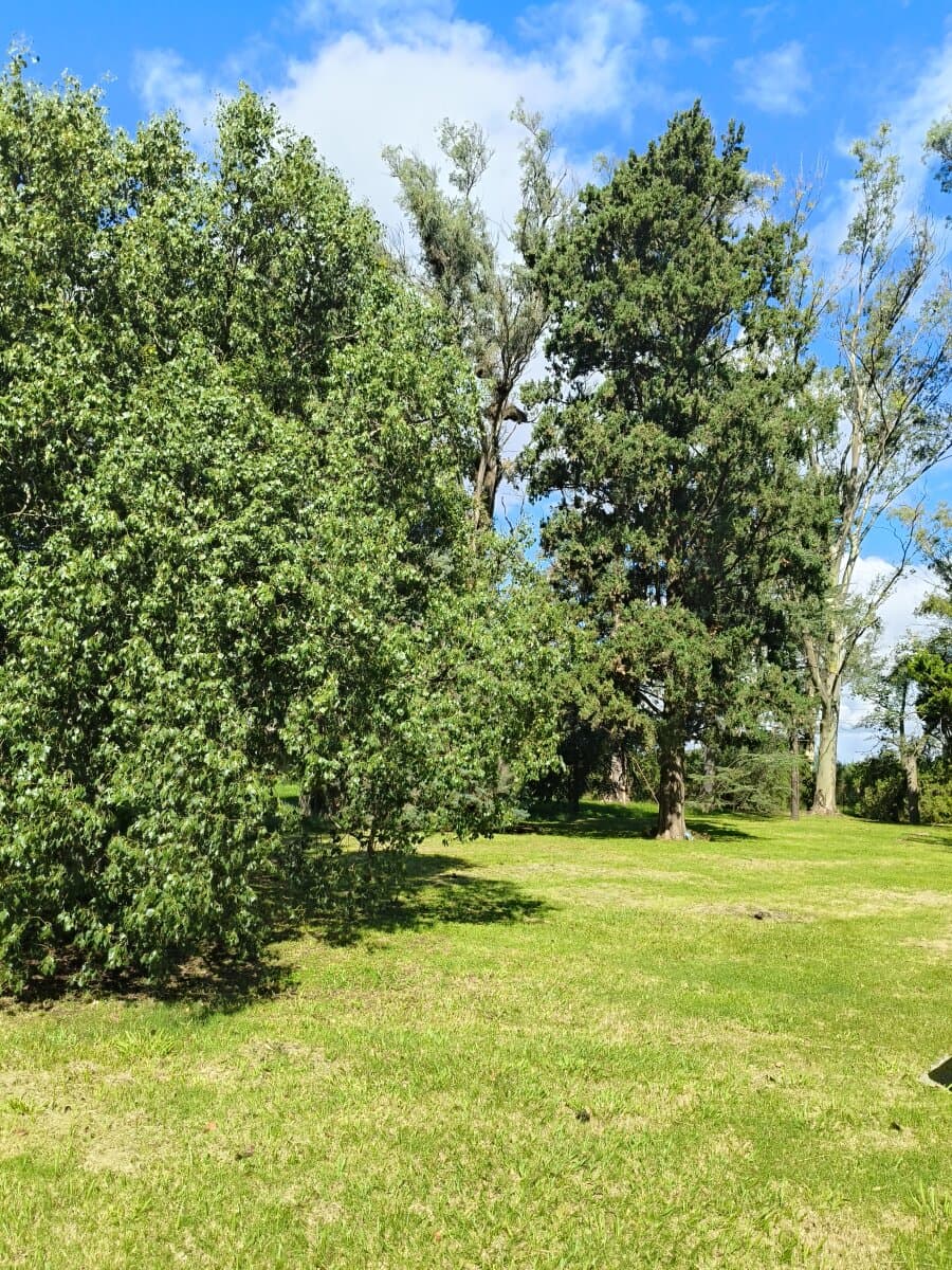 Terrenos sobre costa río Carcarañá — foto 6