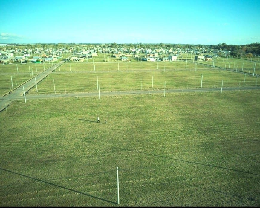 LOTE CAMPO DEL OESTE - ALVEAR — foto 3
