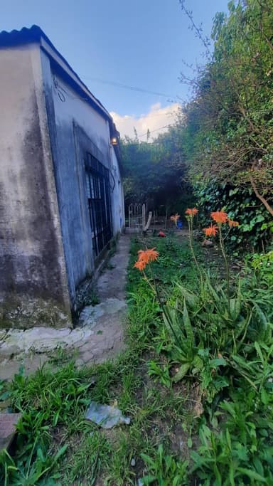 Miniatura 9