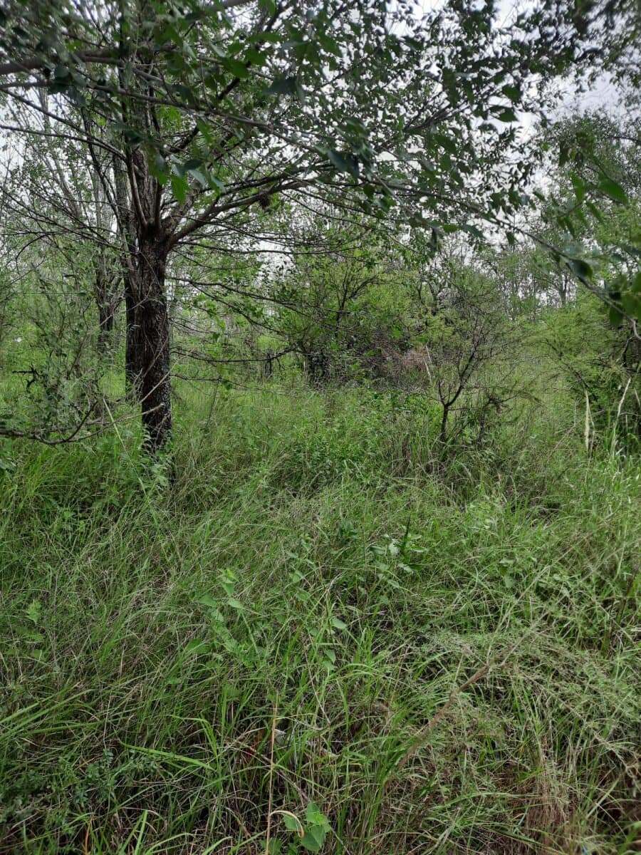 VENDO LOTE EN BIALET MASSE — foto 6