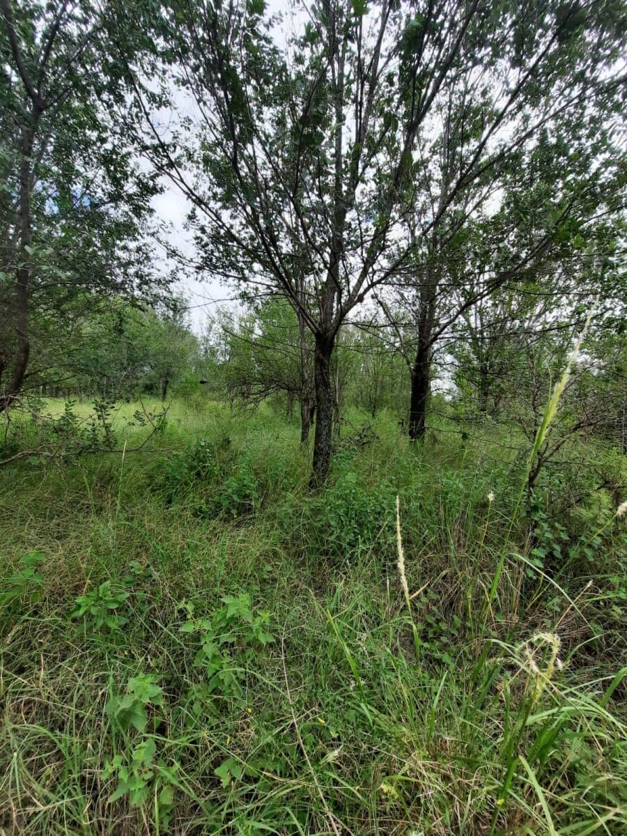 VENDO LOTE EN BIALET MASSE — foto 7