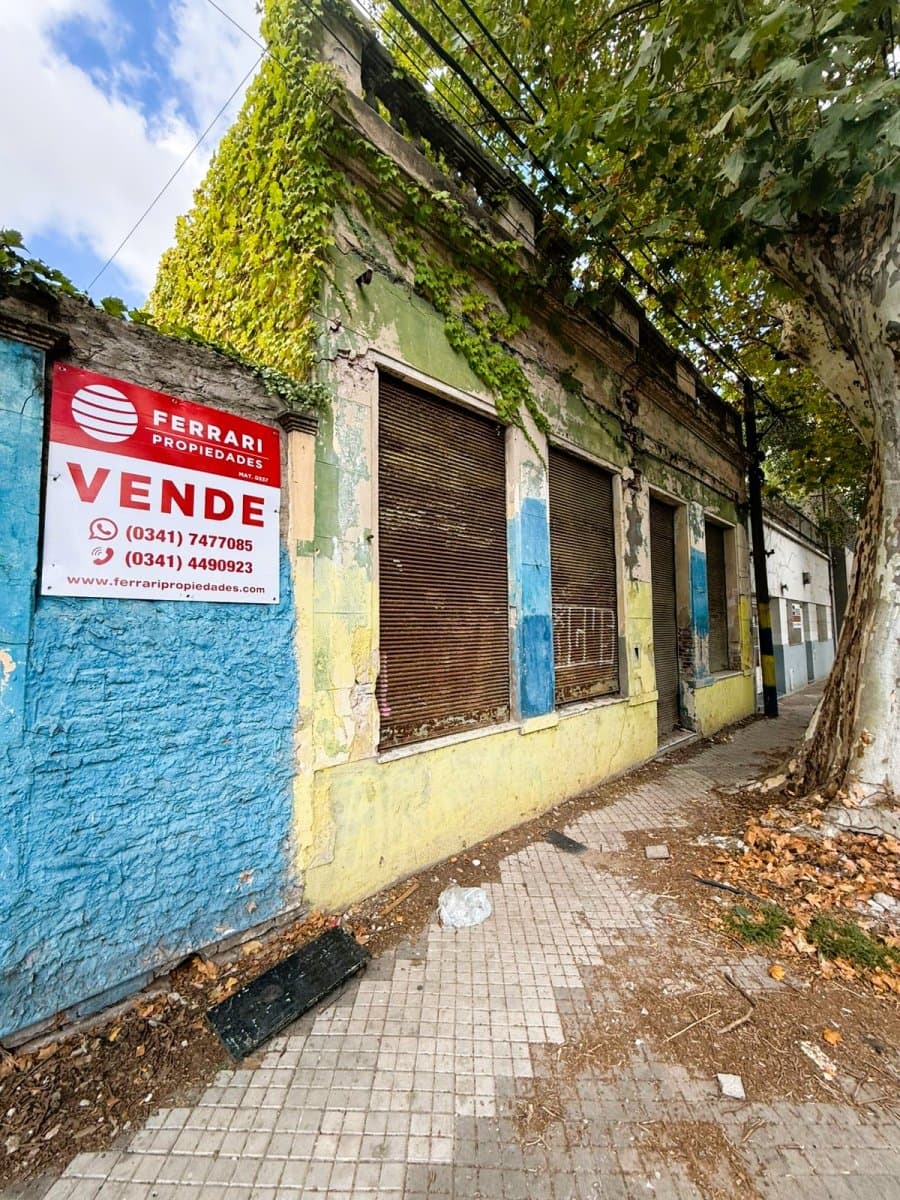 J. Ingenieros 1435 — foto 2
