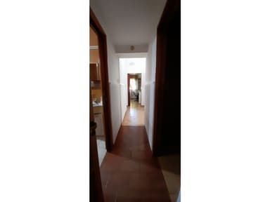 Miniatura 10