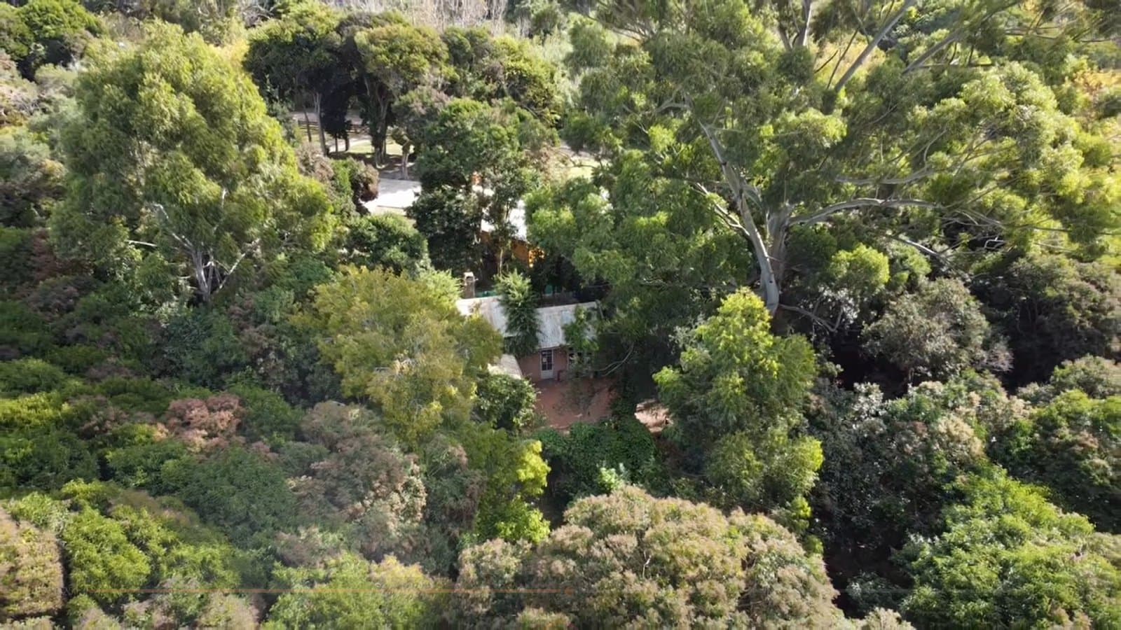 Casa con amplio terreno en Punta Indio — foto 15