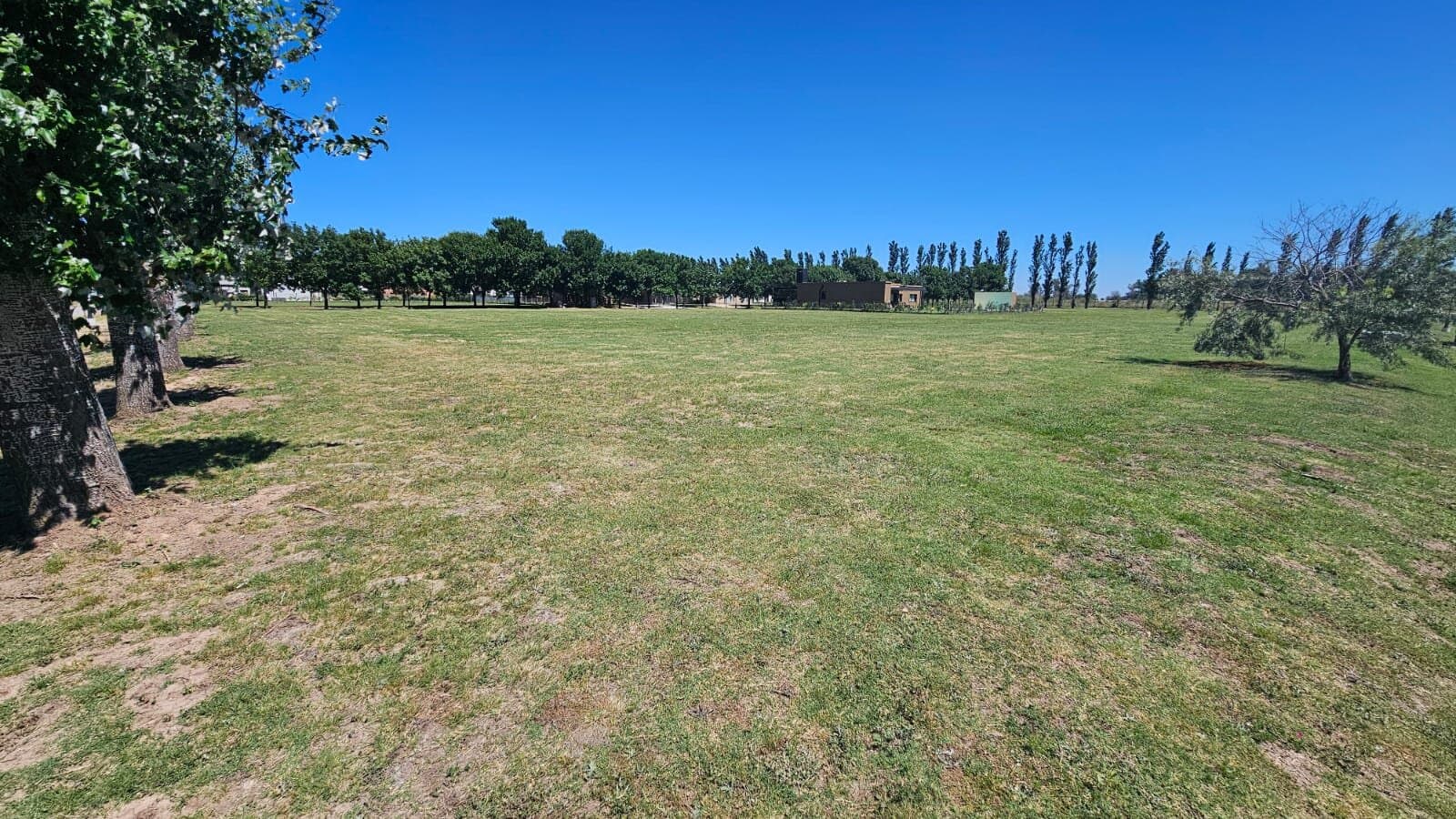 Haras de funes — foto 11