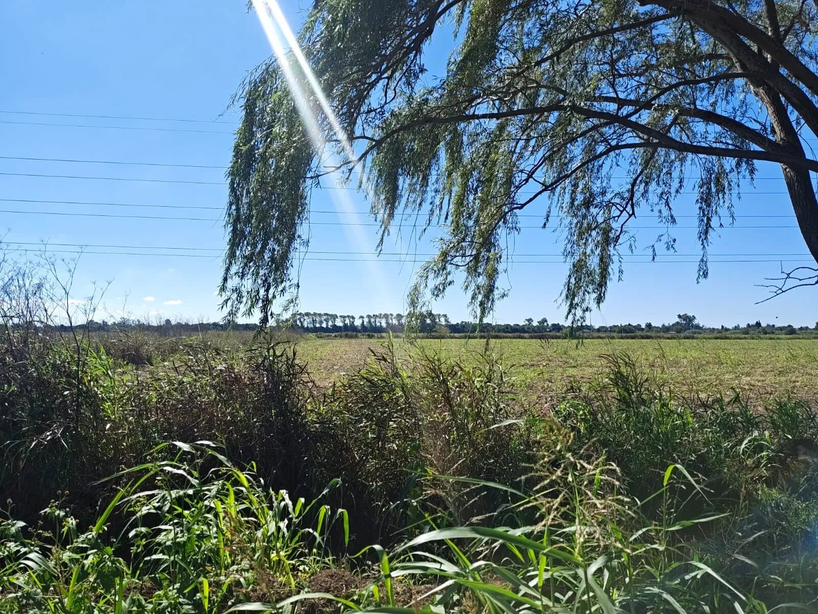 OPORTUNIDAD INDUSTRIAL CAMPO - VENTA- 63 HAS CON ESCRITURA — foto 11