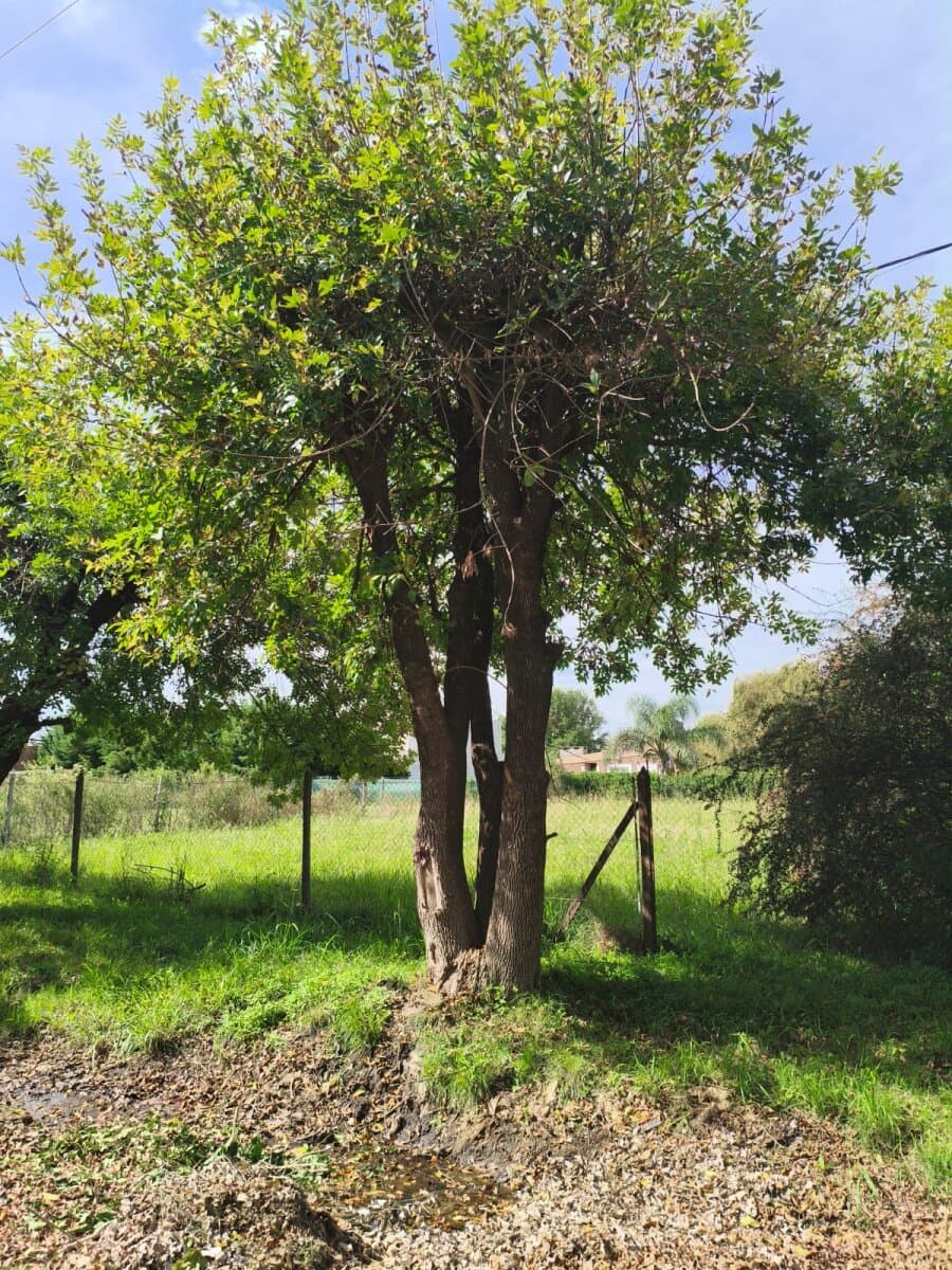 VENTA TERRENO FUNES TOWN — foto 14
