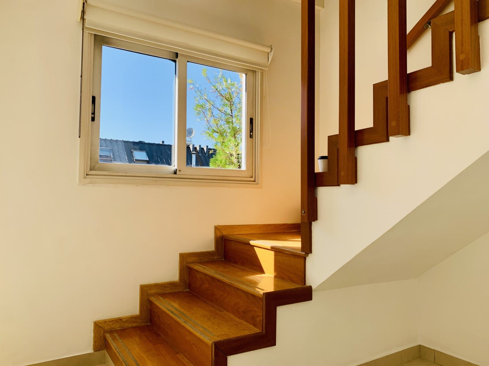Duplex amplio y luminoso — foto 15
