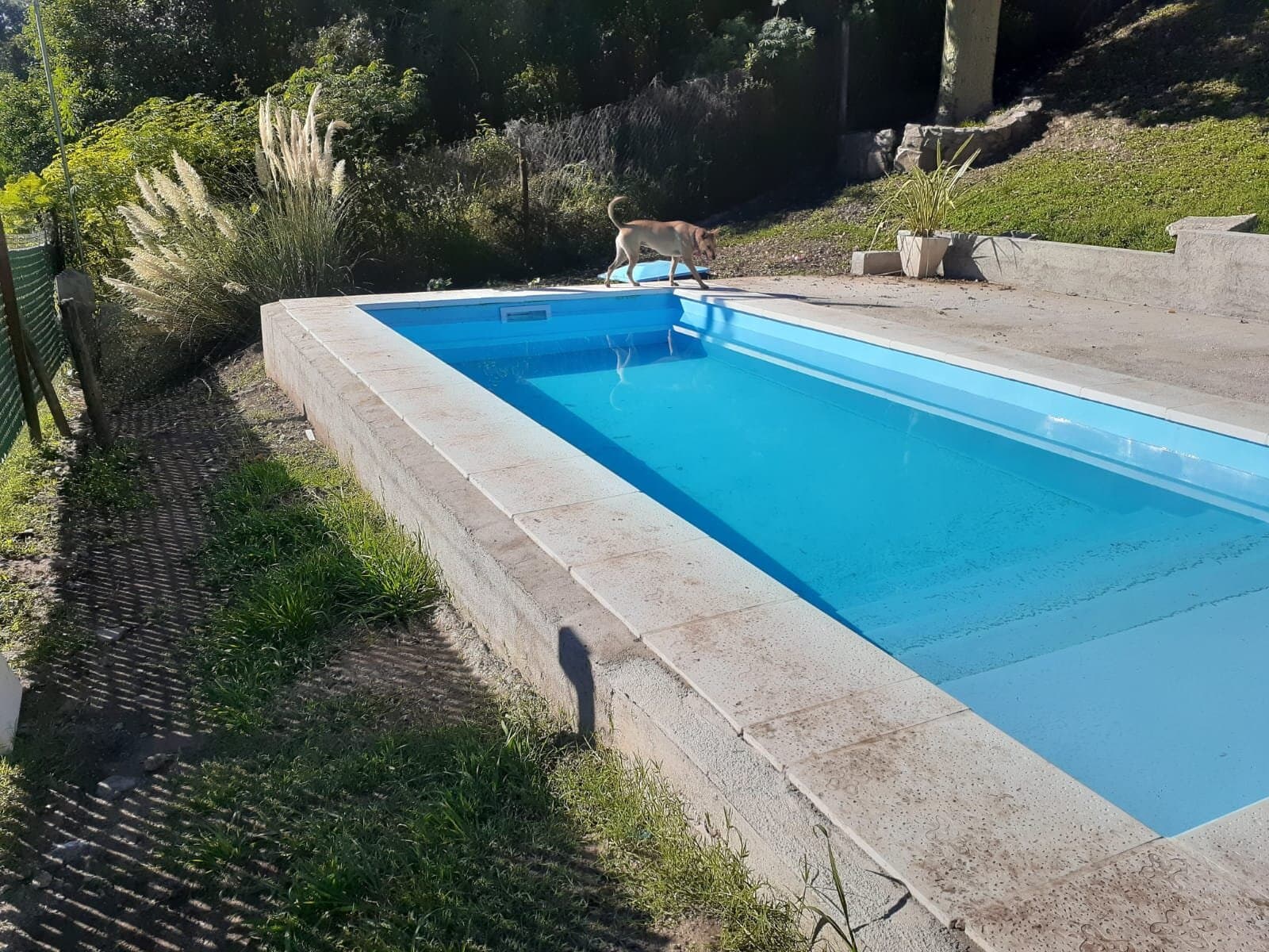 Vendo Casa en camino al Cuadrado — foto 10
