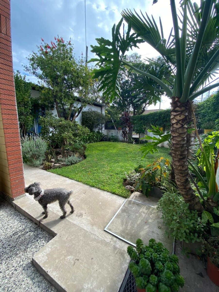 Ituzaingo Norte Casa 5 ambientes — foto 2