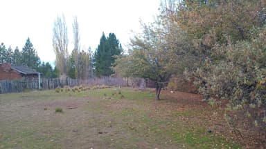 Miniatura 10