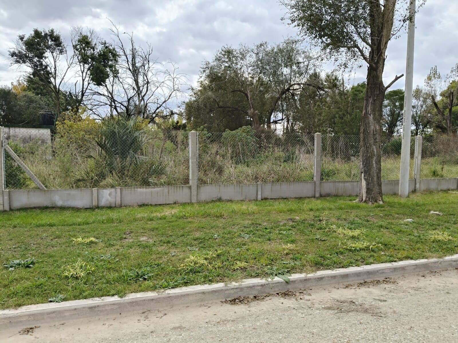 LOTES BARRIO LA PALOMA, TIMBÚES — foto 6