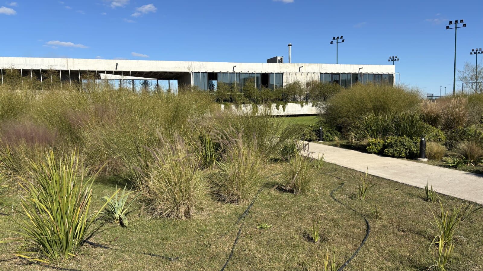 Venta terreno Vida Barrio Cerrado — foto 13