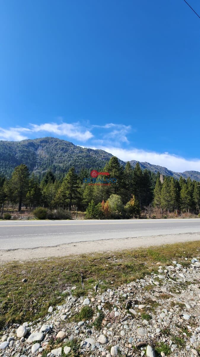 Lote 500 mts2 sobre ruta 16 - Lago Puelo — foto 10