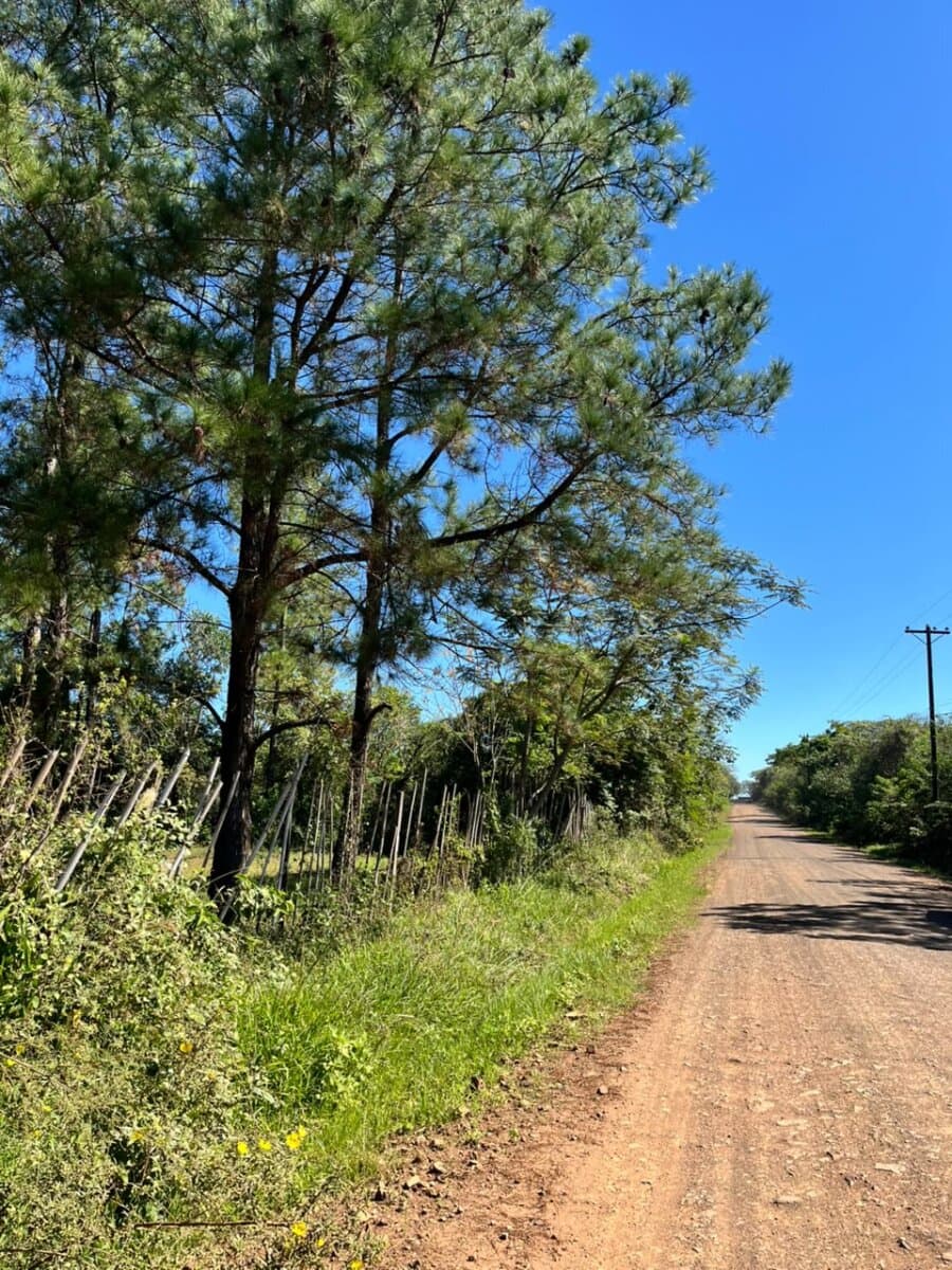 VENTA HECTAREA CON CASA POSADAS — foto 1