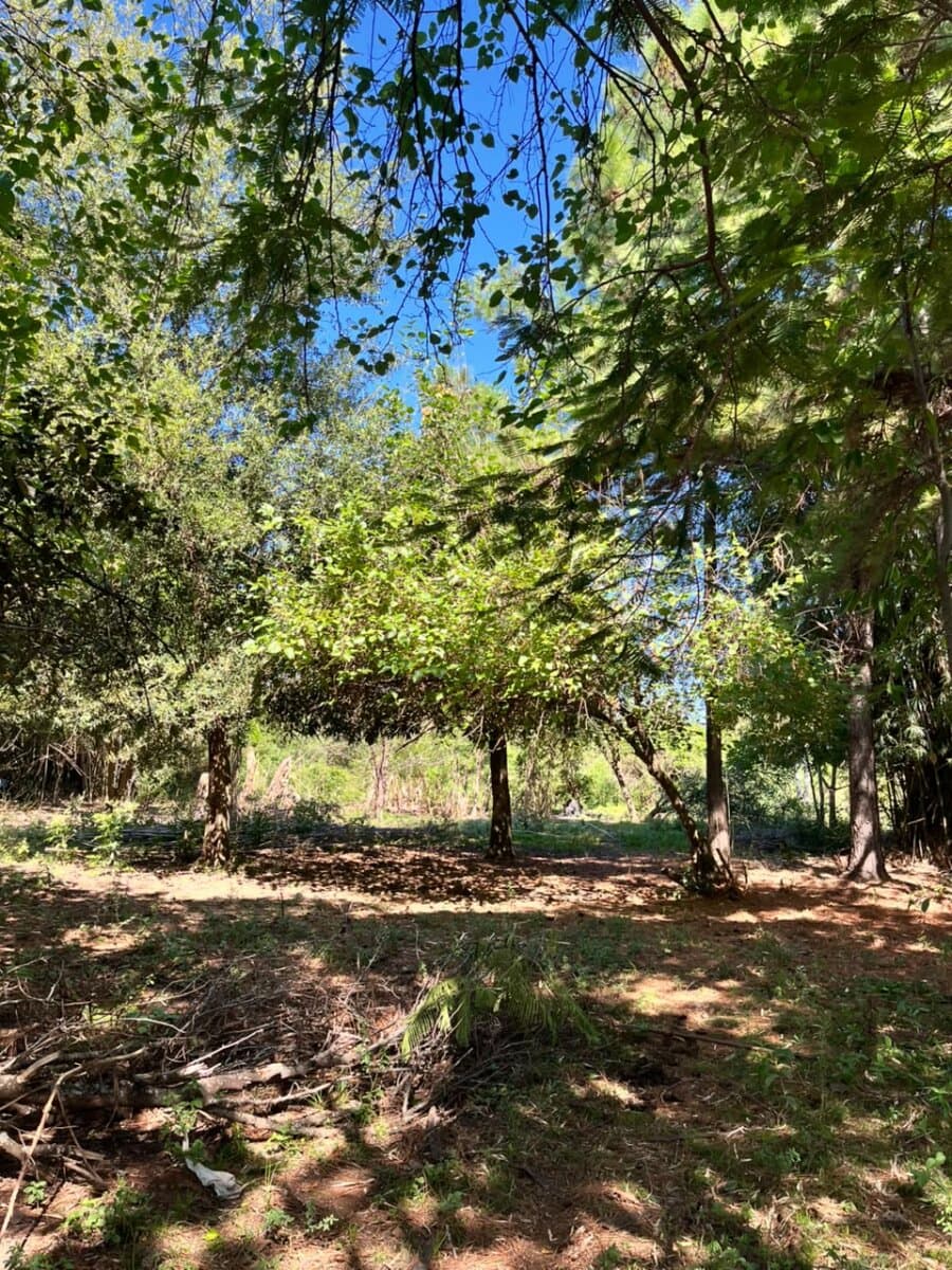VENTA HECTAREA CON CASA POSADAS — foto 6