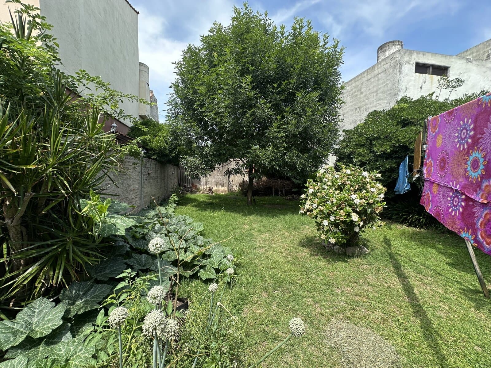CASA ¡APTA CRÉDITO! — foto 15