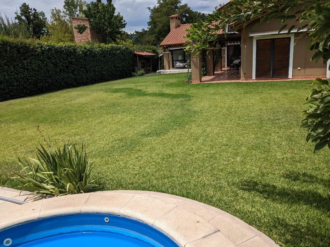 SANTOS VEGA — foto 6