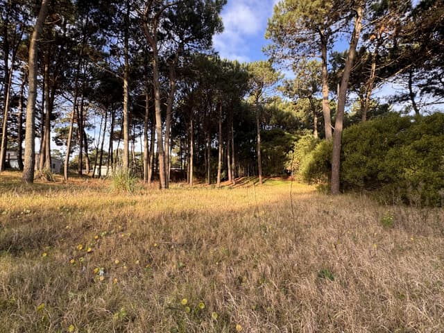 LOTE RESIDENCIAL EN BARRIO NAYADES. PINAMAR