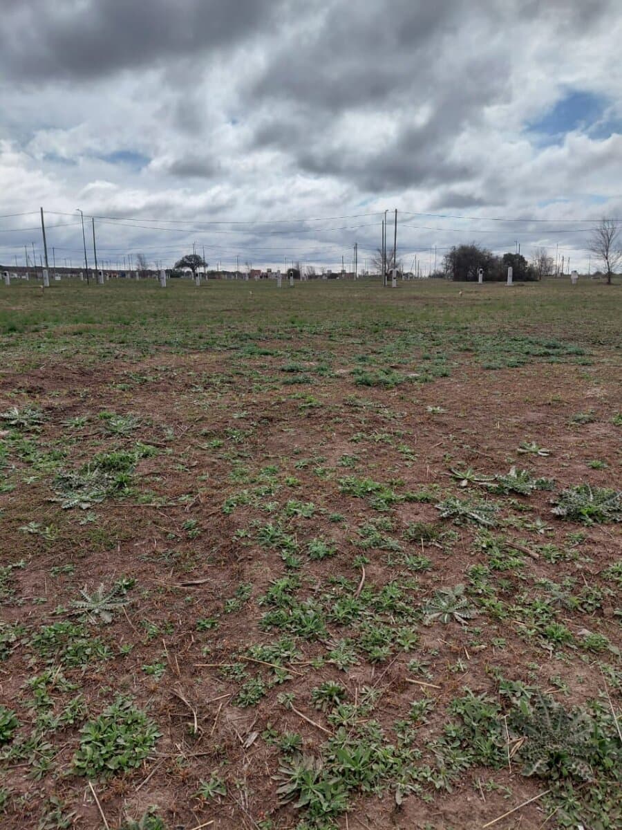 VENTA LOTE DOCTA CENTRAL — foto 8